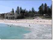 Cottesloe Beach south of Perth, Western Australia. Pet Sitting